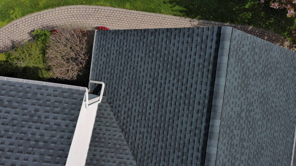 Best Skylight Installation and Repair  in Waupun, WI